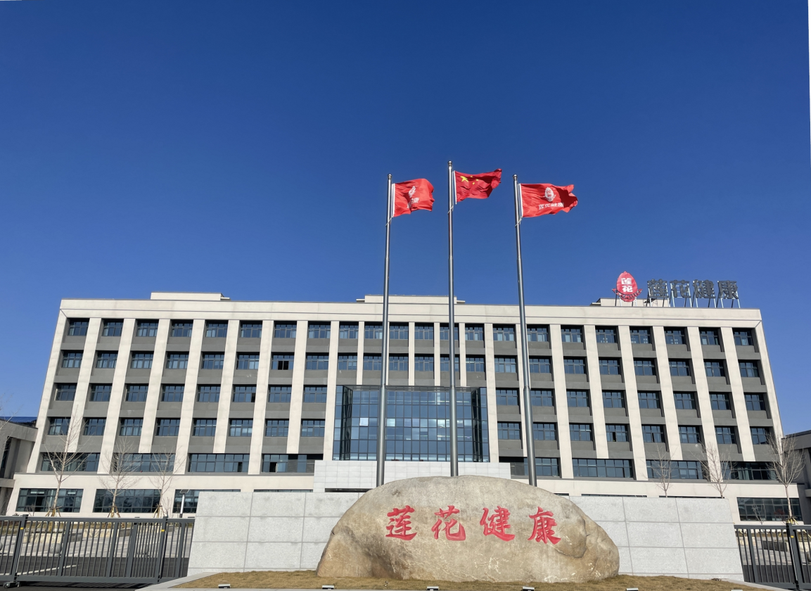 集团概况 集团概况